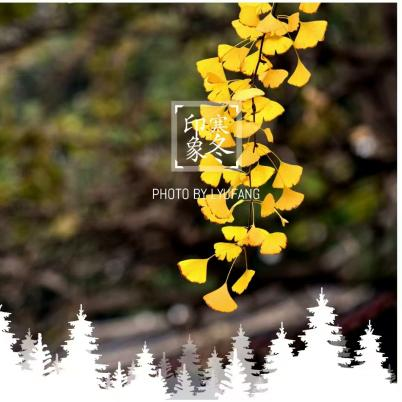 6776099d59dd8.png 6776099d59dd8.png